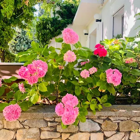 Chic & Zen, Jungle Provencale Et Piscine De 14m Pour 1 A 6 Personnes Κασί