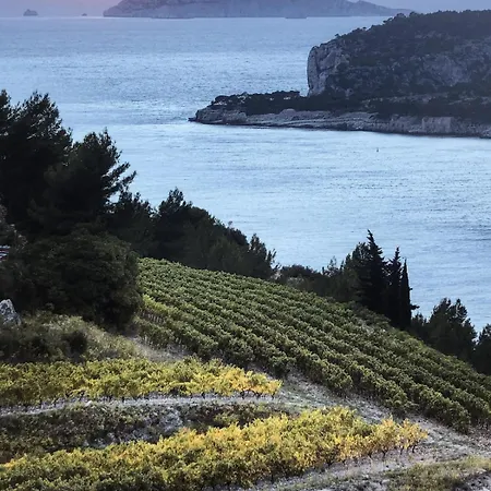 Βίλα Chic & Zen, Jungle Provencale Et Piscine De 14m Pour 1 A 6 Personnes