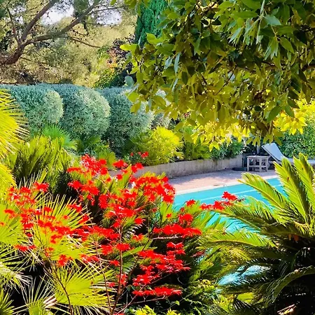 Chic & Zen, Jungle Provencale Et Piscine De 14m Pour 1 A 6 Personnes Βίλα *